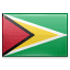 Guyana Flag