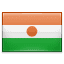 Niger Flag